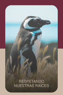 RESPETANDO NUESTRAS RAÍCES